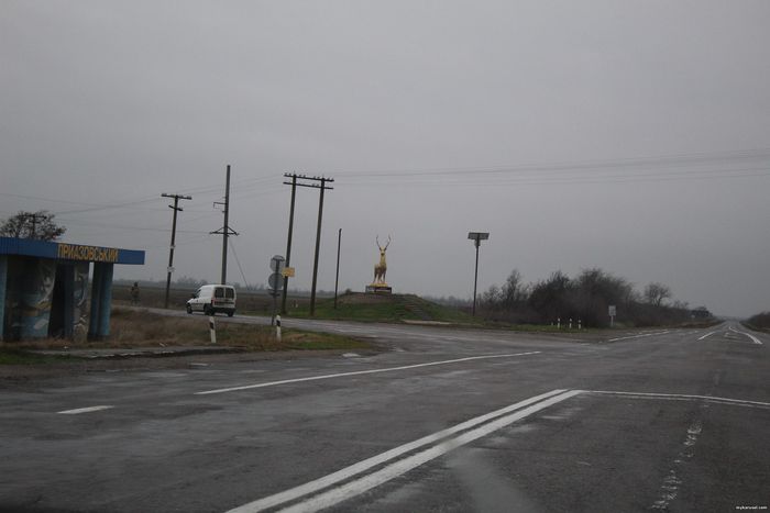 road, photo, ukraine, track, deer